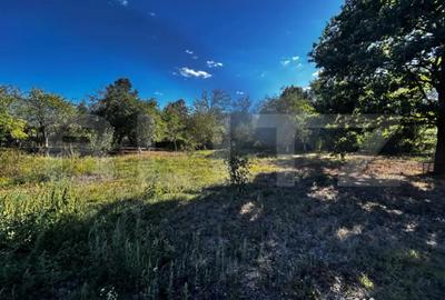 Casă cu 3 camere cu Teren 1173 Mp în Debarcader - 7