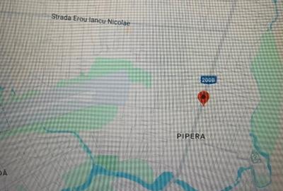 Teren superb bul pipera cu deschidera dubla bul pipera Teren superb bul pipera cu deschidera dubla bul pipera - 2