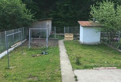 Spațiu comercial, de 760 mp, în Văliug - 1