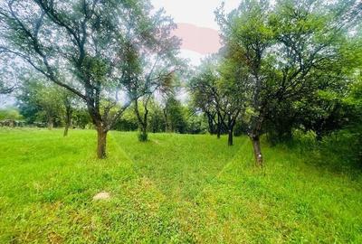 Teren pretabil constructii/10 min de Baia Mare - 8