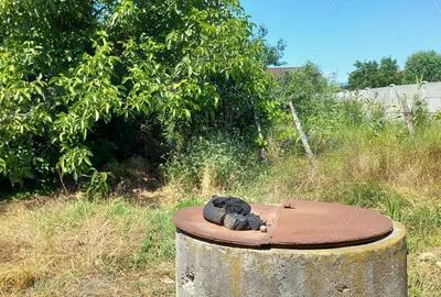 Casă cu 3 camere cu Teren 1152 Mp în Golești - 3