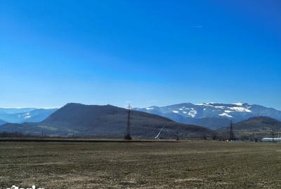 Teren de 2800 mp, în Turnu Roșu - 3