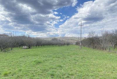 Spațiu comercial, în Berevoești - 6