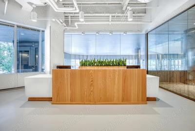 Acces nelimitat 24 7 la spa?iu de birou pentru 2 persoane in Spaces Business Garden - 2
