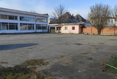 Teren de 3929 mp, în Cetate - 5