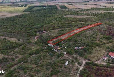 Spațiu comercial, în Tărian - 1