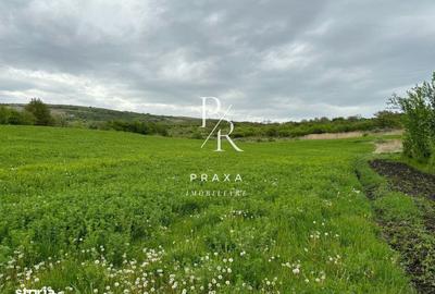 Spațiu comercial, în Central