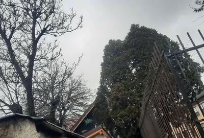 Casă cu 2 camere cu Canalizare în Central - 4