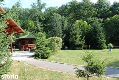 Spațiu comercial, de 700 mp, în Tăuții-Măgherăuș - 1