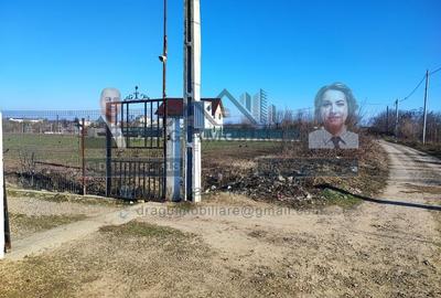 Teren Statia Meteo Balcescu/ 2 loturi de 5000 mp /Tecuci - 1