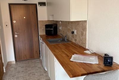 Studio la poalele Cetatii Devei - 7