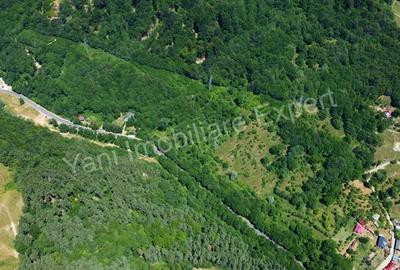 Teren de vanzare pe Transfagara?an. - 6