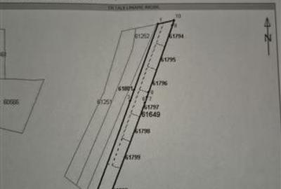 Teren intravilan de 500 mp, în Tomești - 3