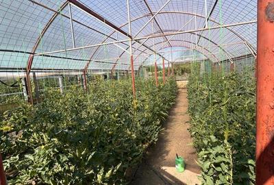 Gospodarie de vanzare - 2