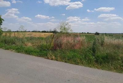 TEISORI /GR - 2 LOTURI LIPITE (TOT. 16500 MP) DE VZ 100K EUR NEG - 6