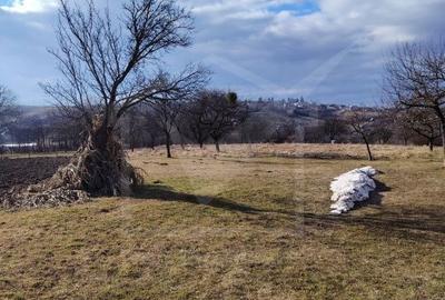 Spațiu comercial, în Feleacu