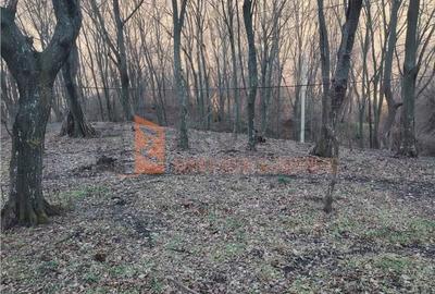 Teren de 1000 mp, în Merei - 1