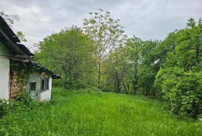 Teren de 3000 mp, în Central - 5