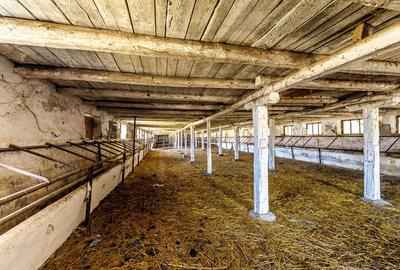 Fermă Mândruloc 2,5 ha - 6
