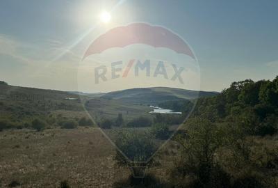 Teren cu parau | 50,000 mp | zona Caianu-Vama | la lizi... - 10