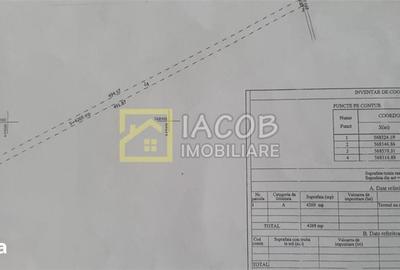 Teren de 4269 mp, în Letea Veche
