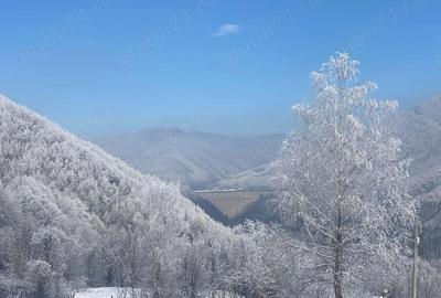 Casă cu Teren 285 Mp în Lunca Mare - 5