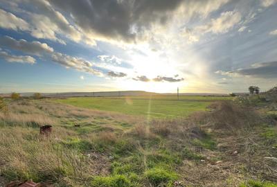 Teren si proiect, 15813mp, fata Skoda - 7