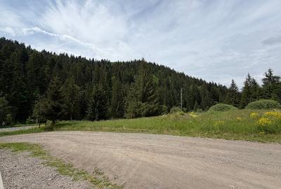 Teren intravilan de 11375 mp, în Central - 6