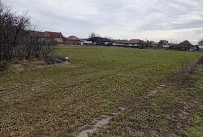Teren de 5900 mp, în Mihai Viteazu - 3