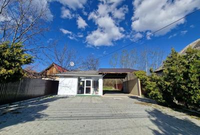Mioveni - Cosesti - stradal, IDEAL  LOCUINTA/SPATIU COMERCIAL/intravilan 1250 mp - 1