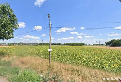 Teren de 5000 mp, în Cotorca - 7