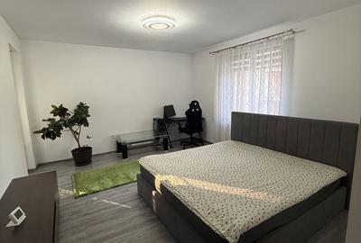 Apartament cu 2 camere decomandat în Turnișor - 4