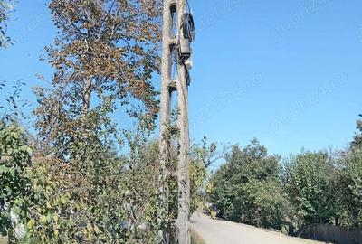 Casă în Vulturu - 6
