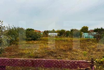 Casa de vanzare in Macea, teren 942 mp - 4