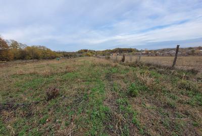 Teren intravilan, 4967 mp, utilita?i, sat Rasova, Bale? - 3