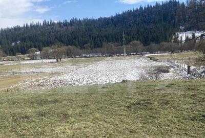 Teren intravilan de vanzare, 12.500 mp, zona Vatra Dornei, P - 3