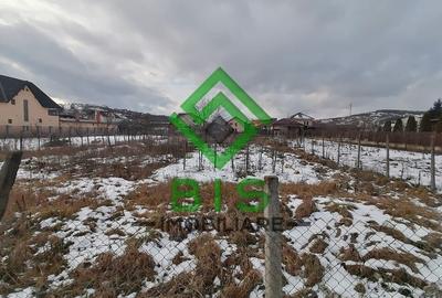 Teren intravilan - Zona Dedeman - 7