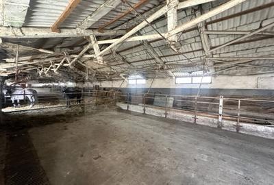 Spațiu comercial, de 356 mp, în Central - 5
