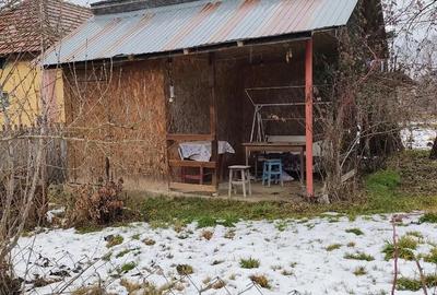 Casă cu Teren 507 Mp în Valea Bradului - 8
