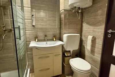 Apartament cu 2 camere semidecomandat, mobilat în Pajura - 10