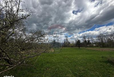 Teren de 5097 mp, în Groși - 4