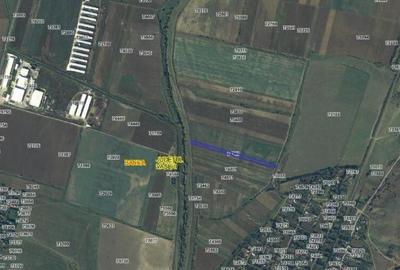 Teren Extravilan Banca, ID: R2805492 - 5