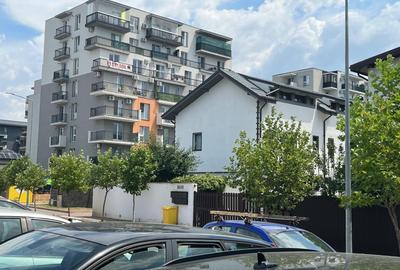 Policolor - Drum Gura Putnei, suprafata  2500 mp - 7