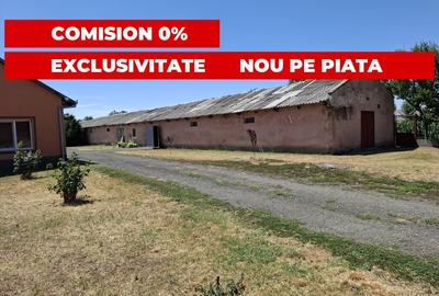 Proprietate mixta de vanzare in Nadlac - Casa moderna + hala/grajd + teren mare - 9