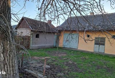 Casă cu 3 camere cu Teren 3600 Mp în Central - 17