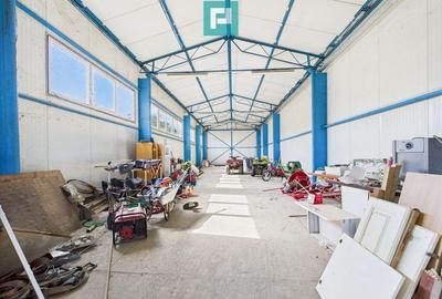 Casă cu 4 camere cu Teren 1510 Mp în Cenad - 8