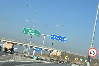 Casă cu 2 camere în Belciug - 5