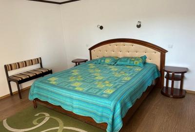 Comision 0%, Casa Individuala- Valea Adanca, 4 camere, 731 mp - 6