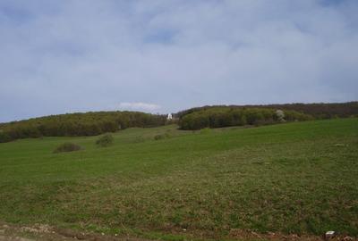 Teren de 2200 mp, în Dobârlău - 2