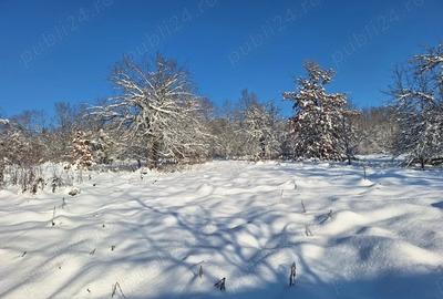 Teren de 2880 mp, în Mustești - 1